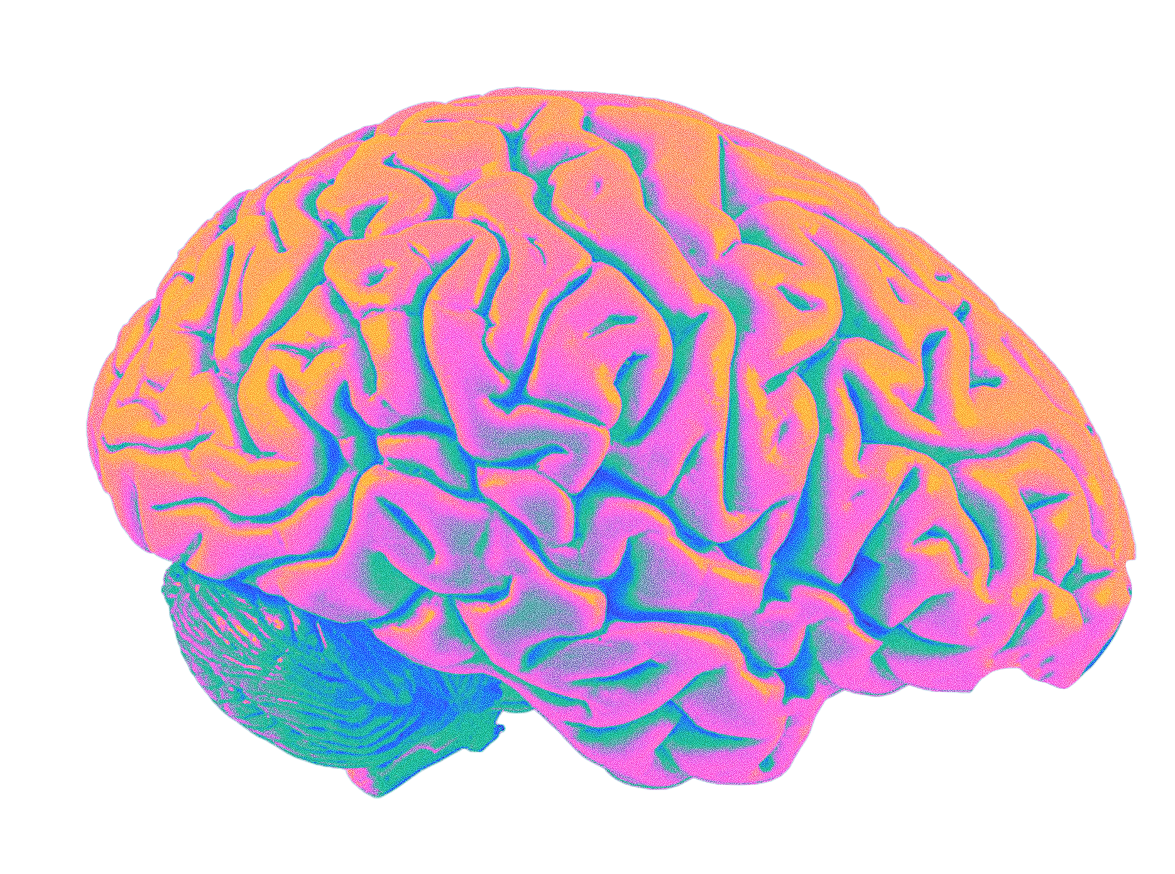 Tracer Brain